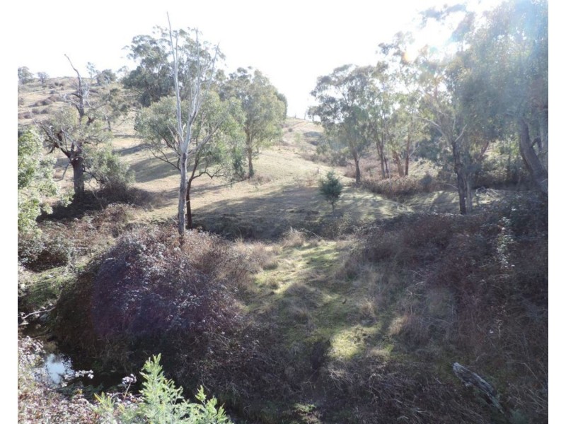 Lot 101 Hollow Mount Road, Bigga NSW 2583