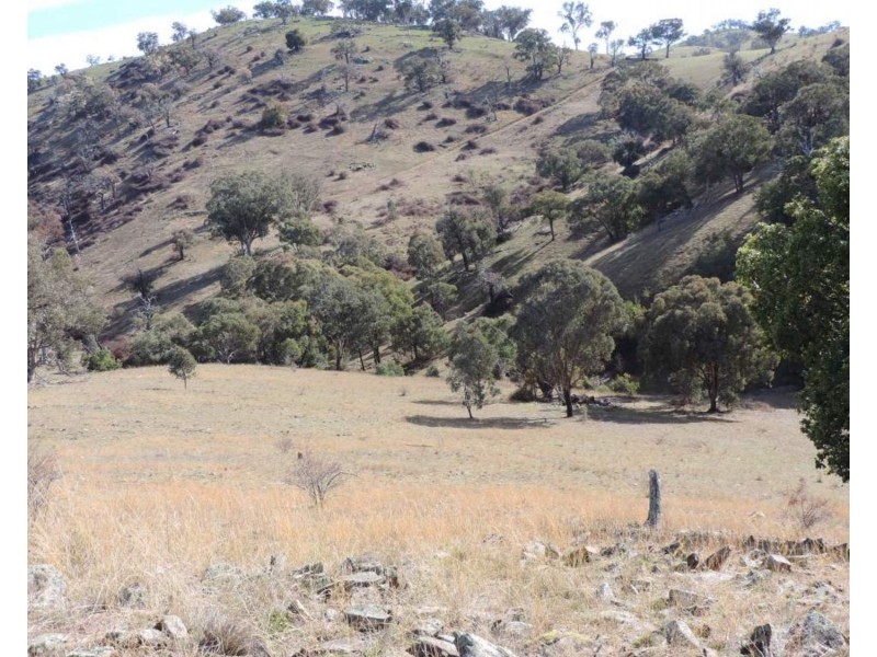 Lot 101 Hollow Mount Road, Bigga NSW 2583