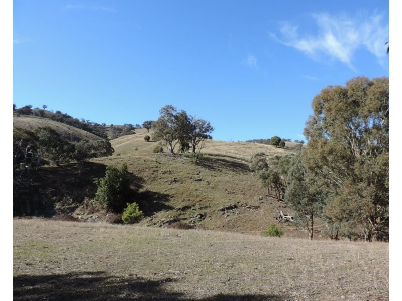 Lot 101 Hollow Mount Road, Bigga NSW 2583