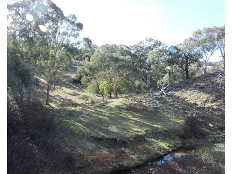 Lot 101 Hollow Mount Road, Bigga NSW 2583