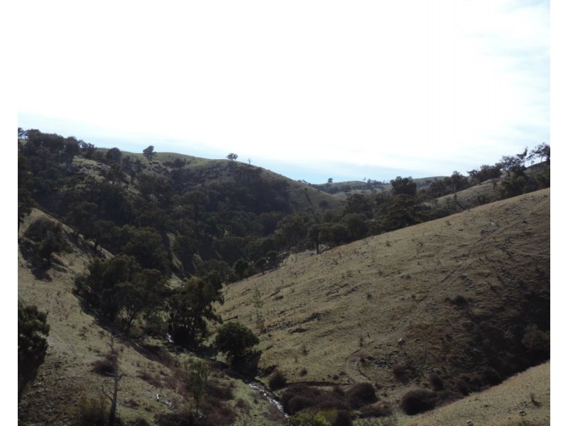 Lot 101 Hollow Mount Road, Bigga NSW 2583