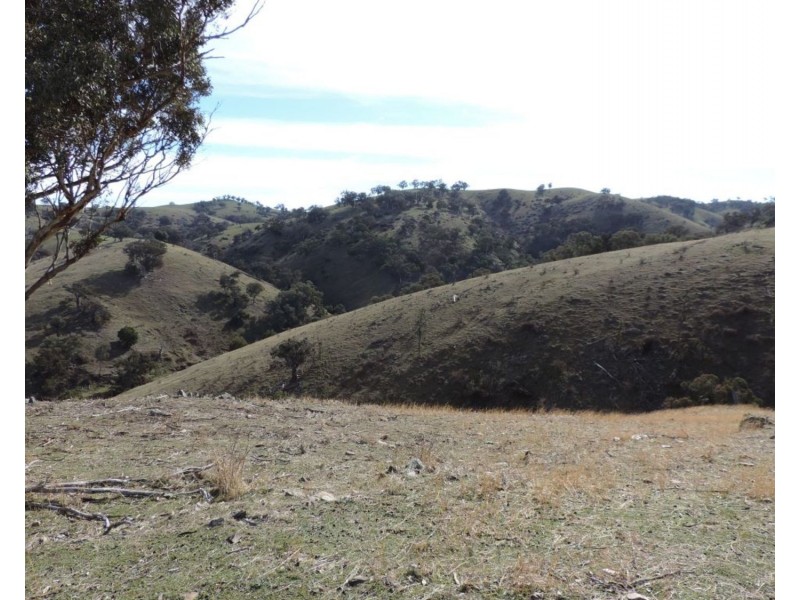 Lot 101 Hollow Mount Road, Bigga NSW 2583