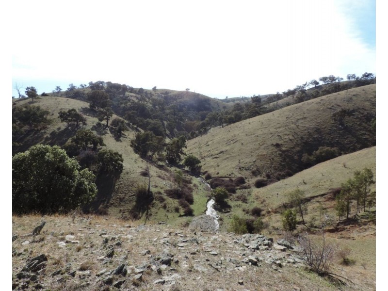 Lot 101 Hollow Mount Road, Bigga NSW 2583