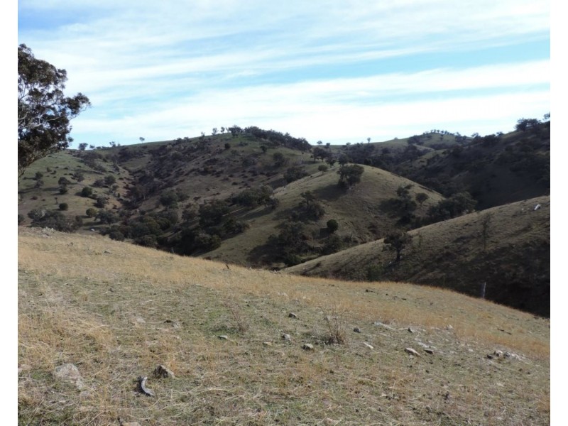 Lot 101 Hollow Mount Road, Bigga NSW 2583