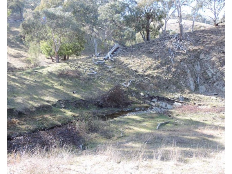 Lot 101 Hollow Mount Road, Bigga NSW 2583