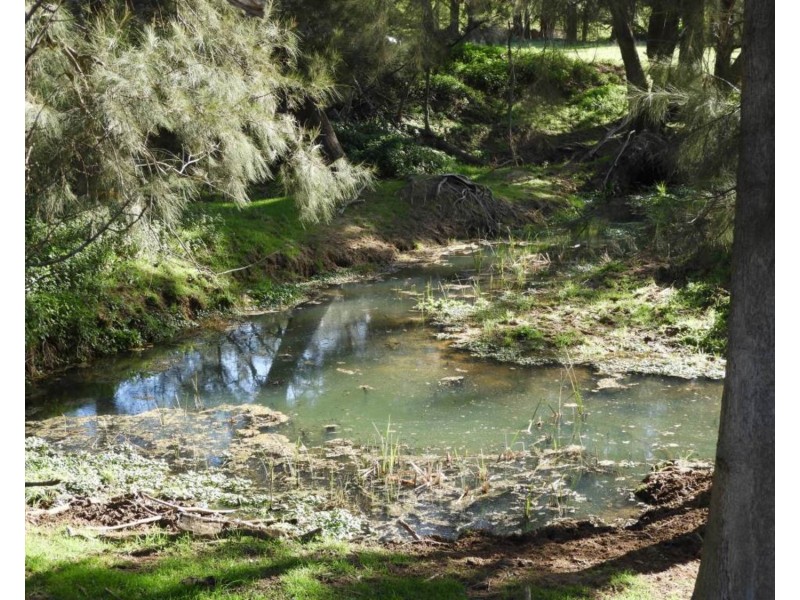 2244 Greenmantle Road, Bigga NSW 2583