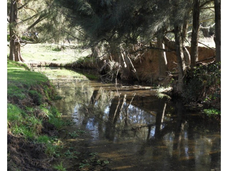 2244 Greenmantle Road, Bigga NSW 2583