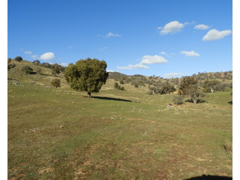 2244 Greenmantle Road, Bigga NSW 2583