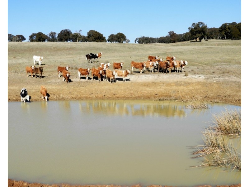 3981  Taralga Road, Taralga NSW 2580