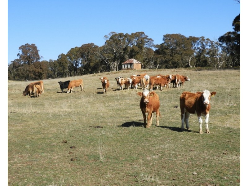 3981  Taralga Road, Taralga NSW 2580