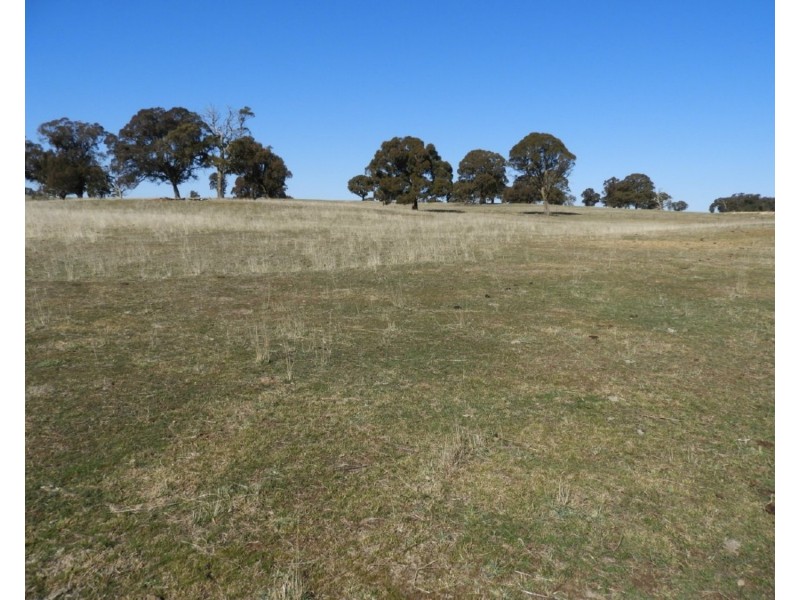 3981  Taralga Road, Taralga NSW 2580