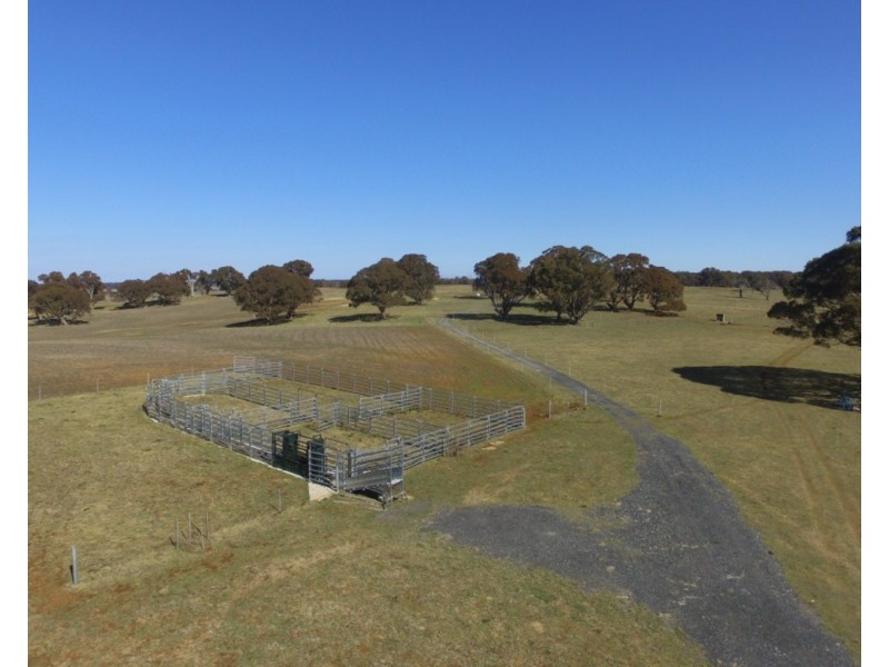 3981  Taralga Road, Taralga NSW 2580