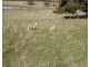 Lot 3 16 Grabben Gullen Road, Crookwell NSW 2583