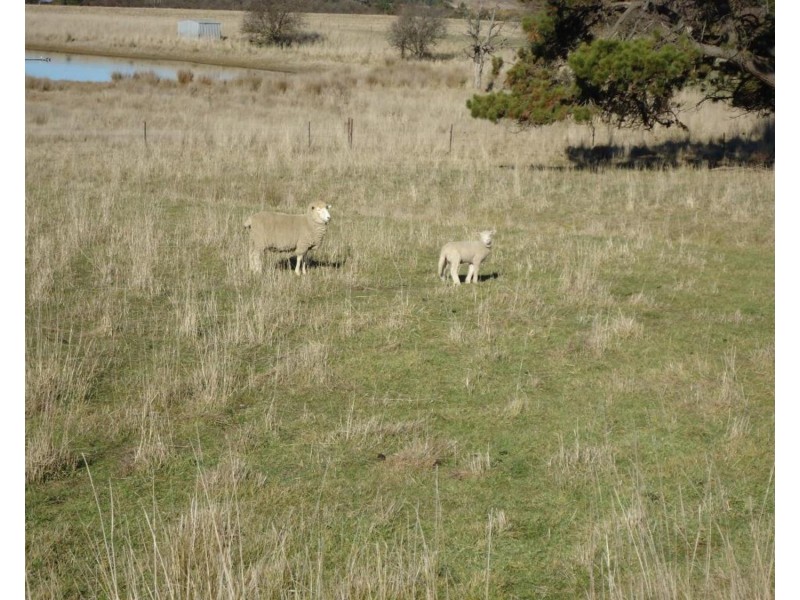 Lot 3 16 Grabben Gullen Road, Crookwell NSW 2583