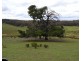 370 Millsvale Road, Fullerton NSW 2583