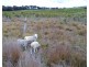 370 Millsvale Road, Fullerton NSW 2583