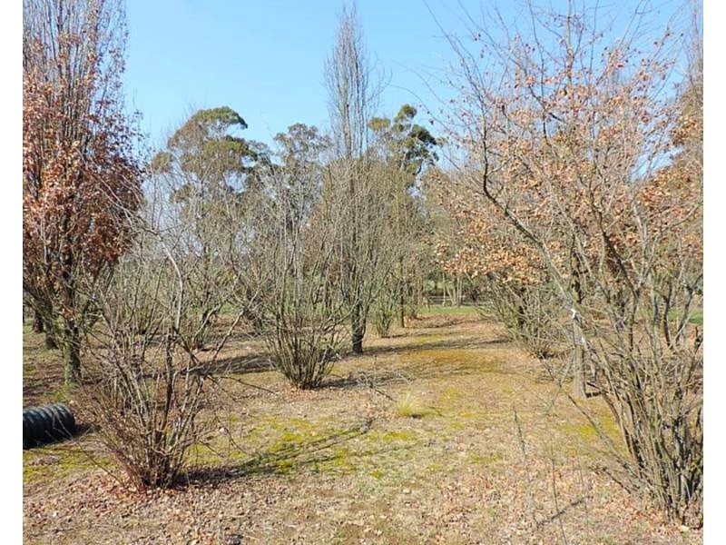 6501 Oberon Road, Taralga NSW 2580