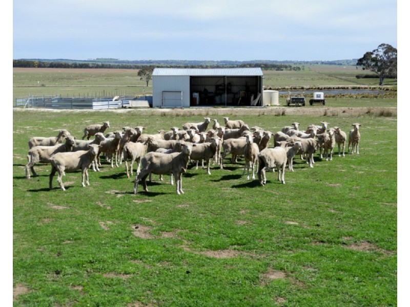 475 Thornford Road, Goulburn NSW 2580