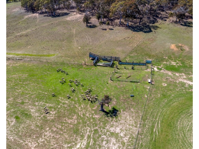 475 Thornford Road, Goulburn NSW 2580