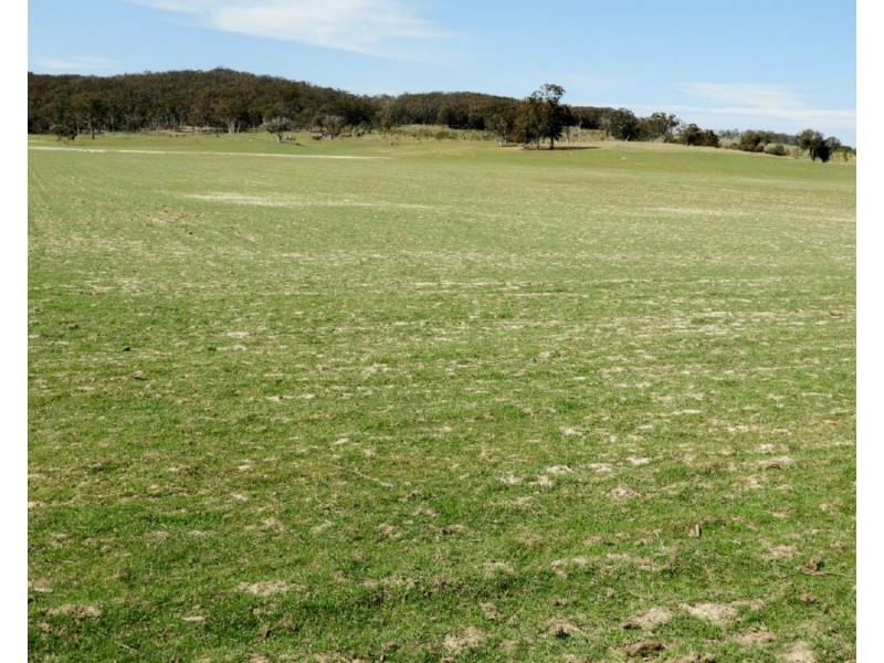 475 Thornford Road, Goulburn NSW 2580