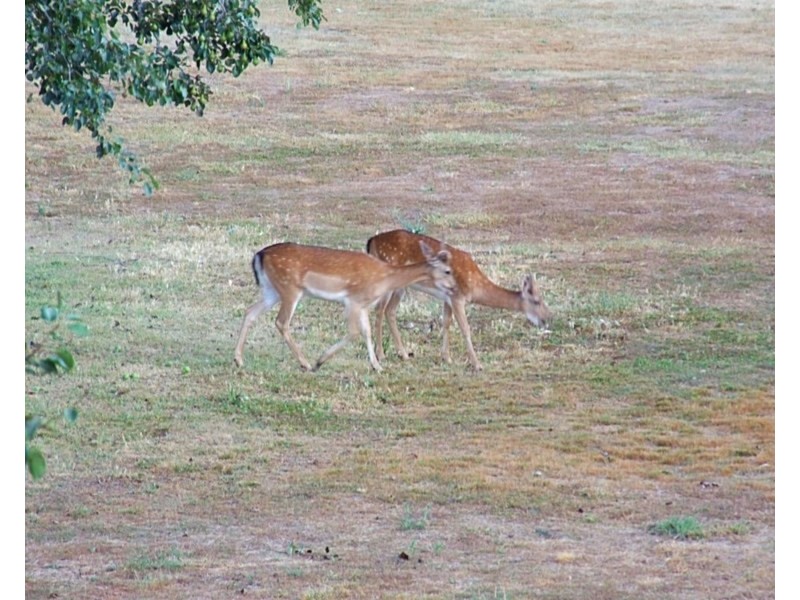 4519 Oallen Ford Road, Bungonia NSW 2580