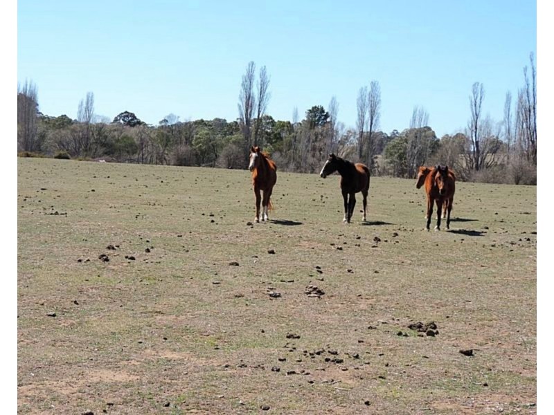 4519 Oallen Ford Road, Bungonia NSW 2580