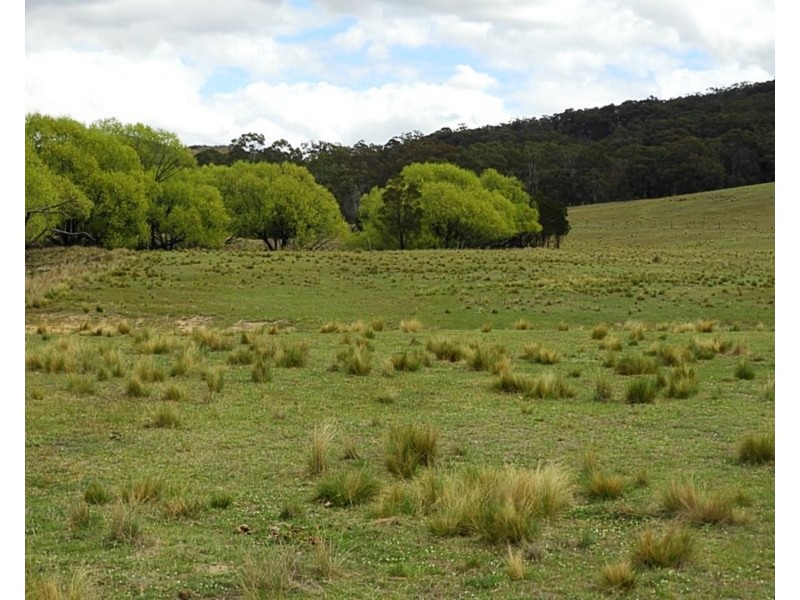 868 Covan Creek Road, Lake Bathurst NSW 2580