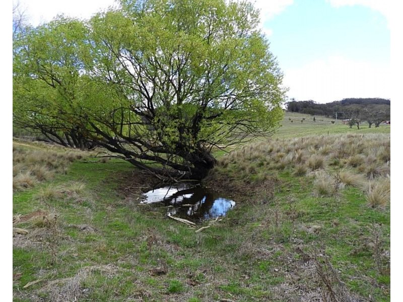 868 Covan Creek Road, Lake Bathurst NSW 2580