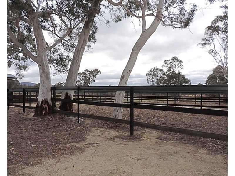 2483 Mayfield Road, Tarago NSW 2580