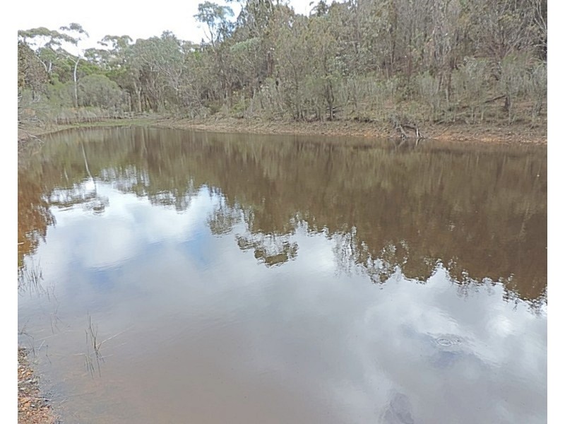 2483 Mayfield Road, Tarago NSW 2580