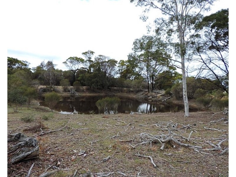 2483 Mayfield Road, Tarago NSW 2580