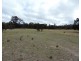 2483 Mayfield Road, Tarago NSW 2580