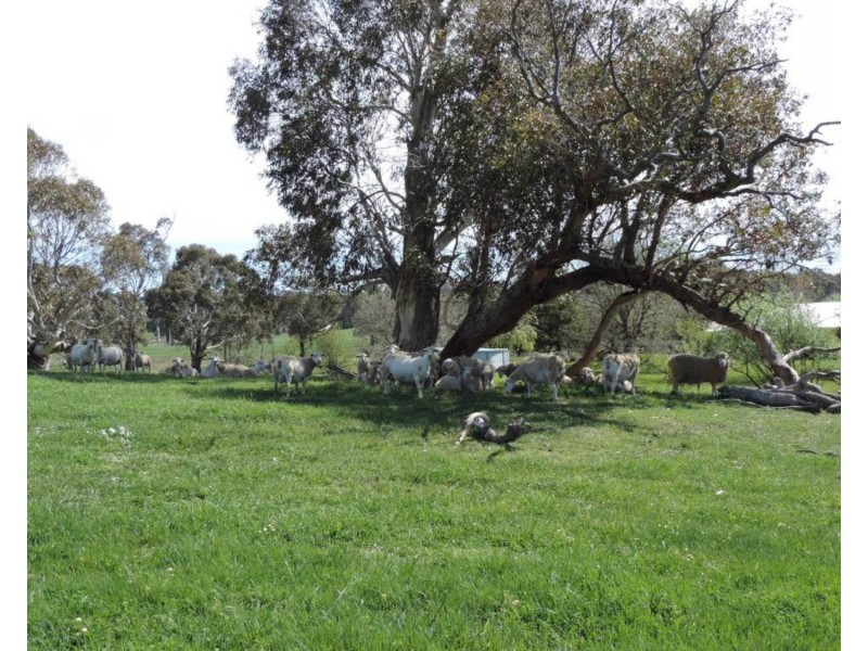 2 Iron Mine Road, Crookwell NSW 2583