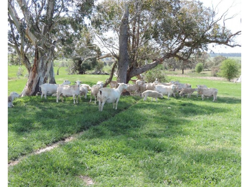 2 Iron Mine Road, Crookwell NSW 2583