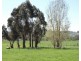2 Iron Mine Road, Crookwell NSW 2583
