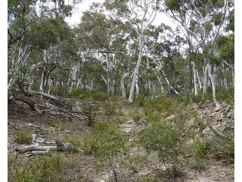 423 Spa Road, Windellama NSW 2580