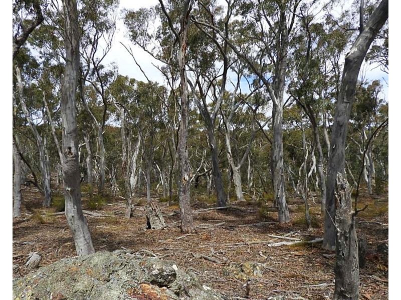 423 Spa Road, Windellama NSW 2580