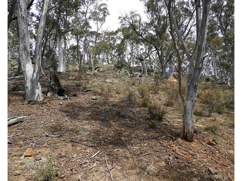 423 Spa Road, Windellama NSW 2580