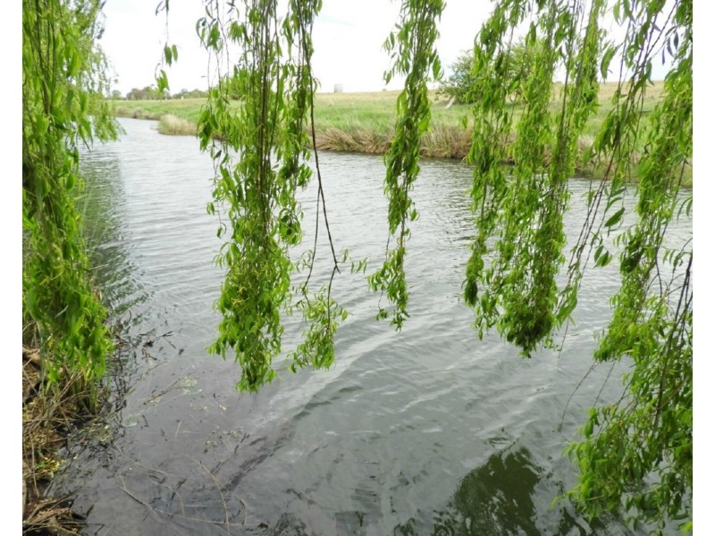 Lot 22 Pomeroy Road, Goulburn NSW 2580