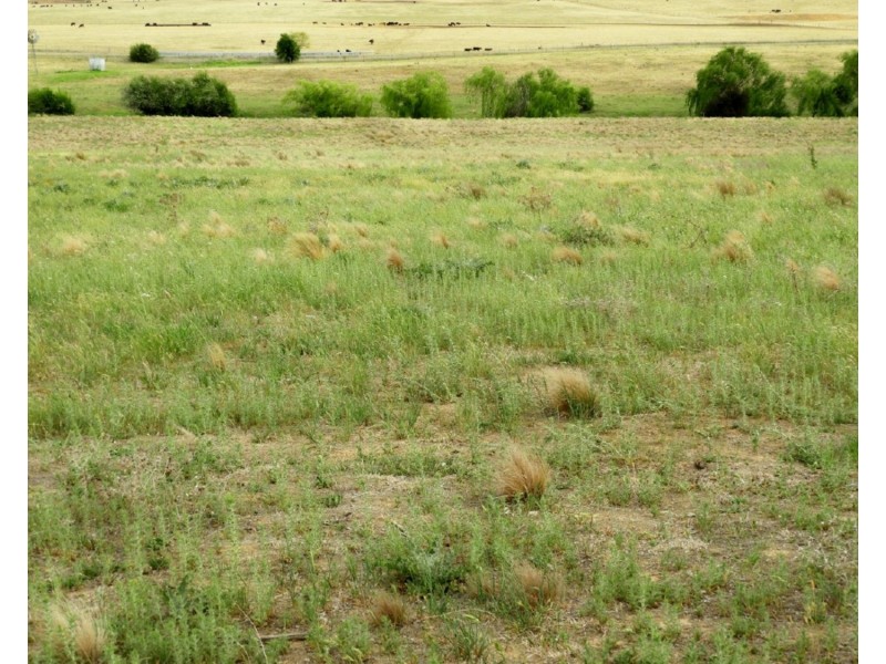 Lot 22 Pomeroy Road, Goulburn NSW 2580