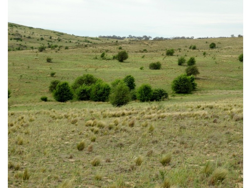 Lot 22 Pomeroy Road, Goulburn NSW 2580