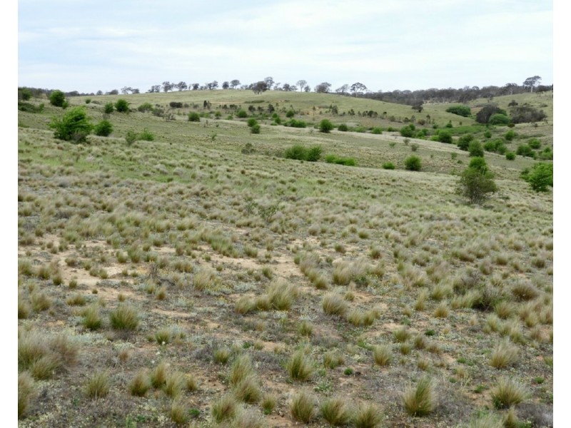 Lot 22 Pomeroy Road, Goulburn NSW 2580