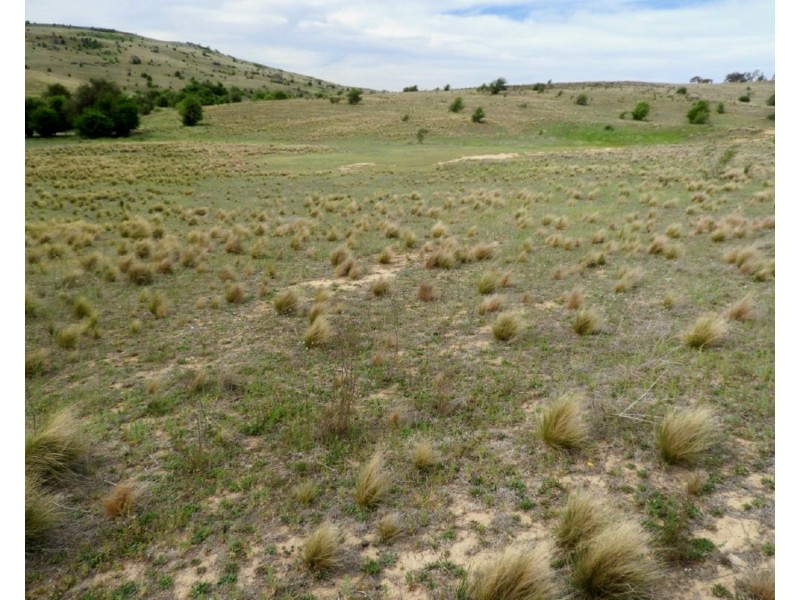 Lot 22 Pomeroy Road, Goulburn NSW 2580