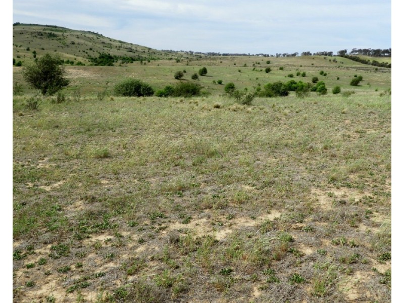 Lot 22 Pomeroy Road, Goulburn NSW 2580