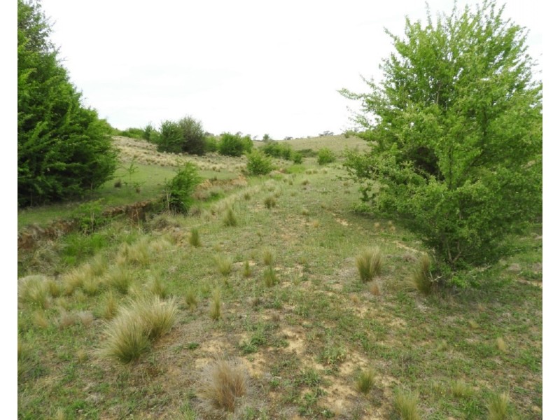 Lot 22 Pomeroy Road, Goulburn NSW 2580