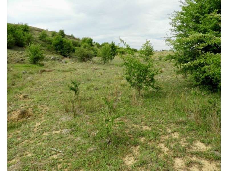 Lot 22 Pomeroy Road, Goulburn NSW 2580