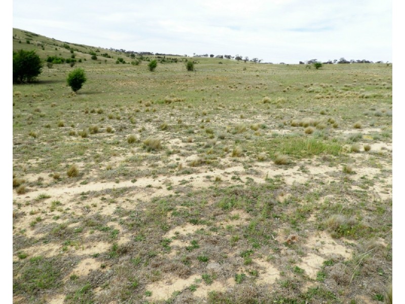 Lot 22 Pomeroy Road, Goulburn NSW 2580