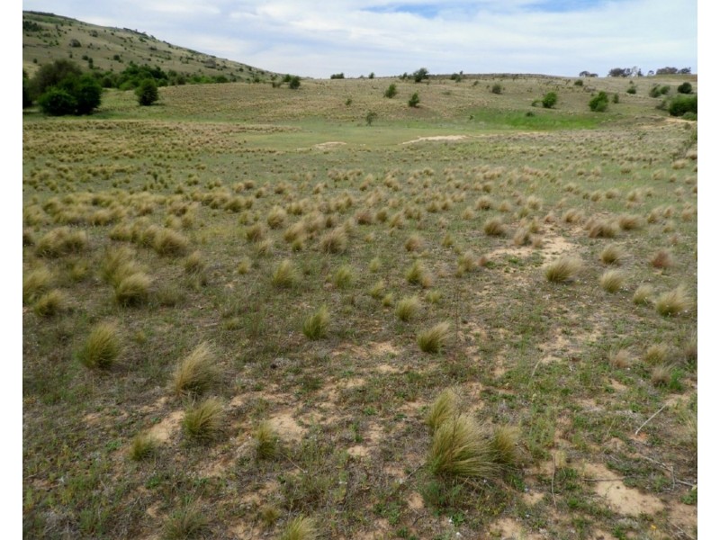 Lot 22 Pomeroy Road, Goulburn NSW 2580