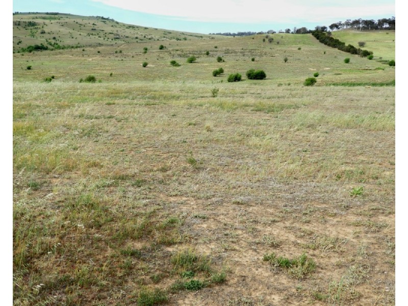 Lot 23 Pomeroy Road, Goulburn NSW 2580