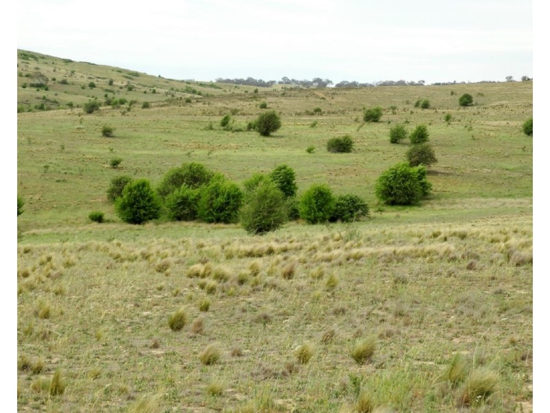 Lot 23 Pomeroy Road, Goulburn NSW 2580